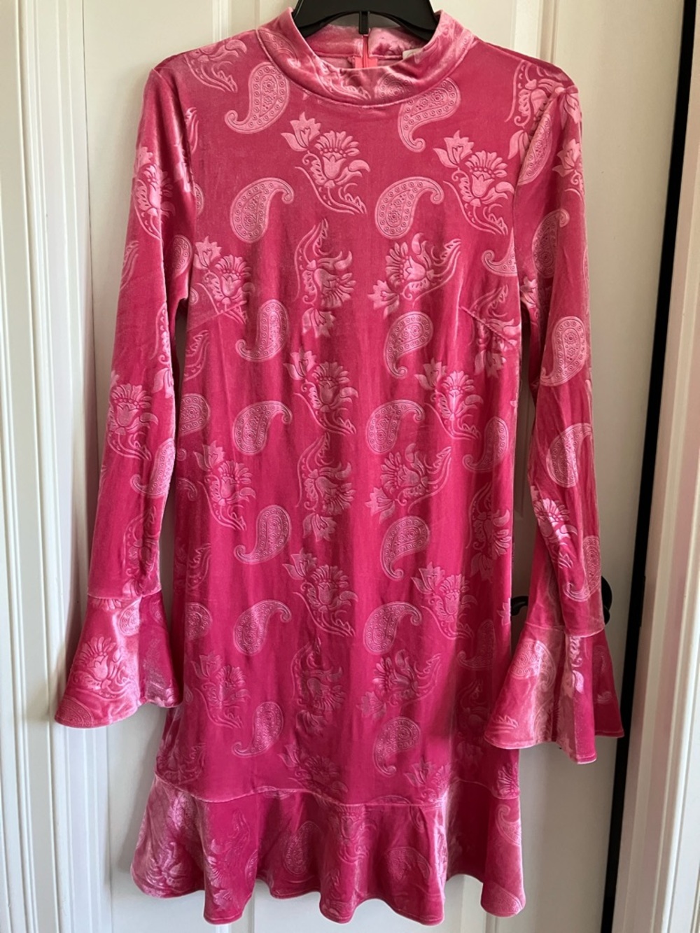 Pink Lily Pink Paisley Velvet Long Sleeve Dress
